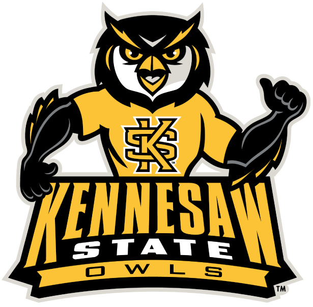 Kennesaw State Owls 2012-Pres Mascot Logo v2 diy DTF decal sticker